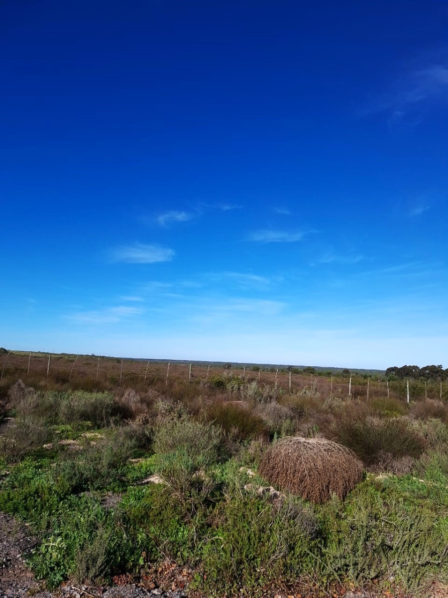 0 Bedroom Property for Sale in Hopefield Western Cape